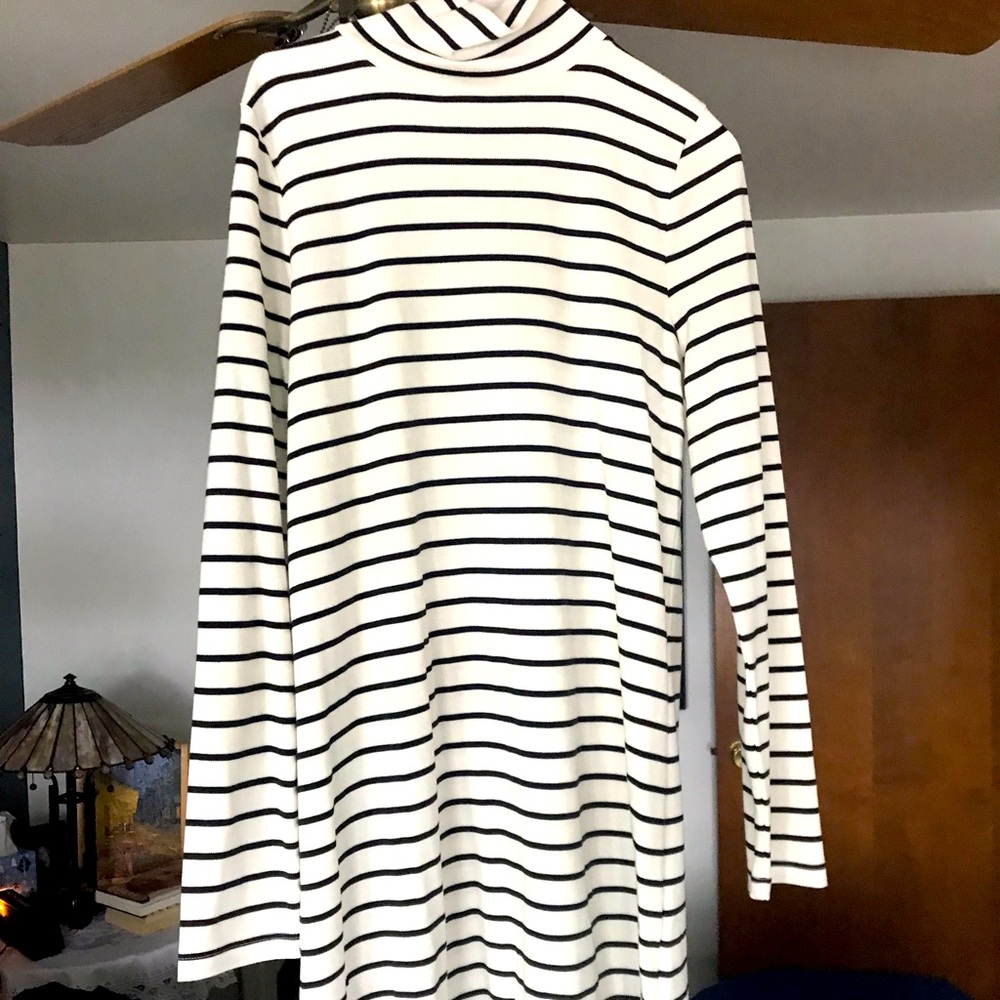 NWT Vineyard Vinea turtleneck dress with modal.